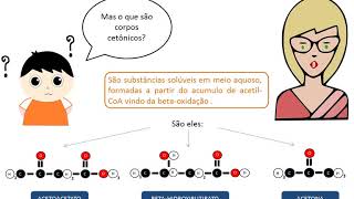 Cetogênese Projeto Bioquímica Animada [upl. by Burg]