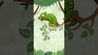 How chameleons change colors [upl. by Cherice51]