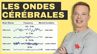 Comprendre les ondes cérébrales 2023  Dr JOE DISPENZA en français [upl. by Moreta117]