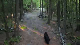 Summer 2022 Bruce Peninsula Drone [upl. by Daye906]