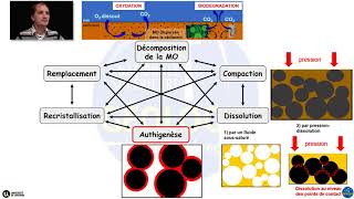 Les phénomènes diagénétiques par Yann Hautevelle [upl. by Lattie749]