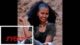 ህላየ ወርቅነህ  Hilaye Workneh  Ethiopian Traditional Music  Yanchis gela ያንቺስገላ [upl. by Benyamin401]