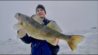 Ice Fishing Lake of the Woods 2024  Catching the Limit [upl. by Yereffej]