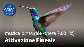 Musica Binaurale Theta 8 Hz  Attivazione Ghiandola Pineale Musica meditazione e rilassamento [upl. by Franciska]