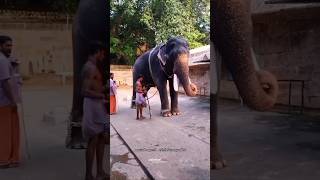 Sorgame Endralum song shortsfeed shorts trending tamilshorts [upl. by Schaab]