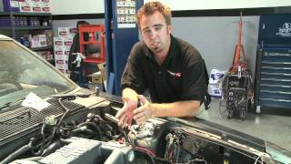 Dart SHP Ford 363 Installation and Dyno [upl. by Zetnom415]