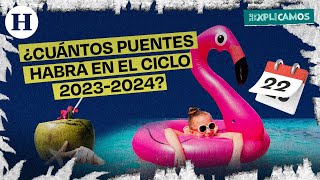 Calendario Escolar SEP 2023  2024 ¿Cuándo serán las vacaciones y días festivos  Te lo explicamos [upl. by Ellekcir975]