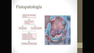 Farmacia Fisiopatología Neumonía [upl. by Acinomed]