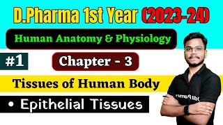 Tissues of Human Body Part1 Epithelial Tissues  HAP Chapter  3 By Mithilesh kr [upl. by Hanforrd456]