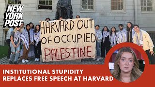 Free speech has been replaced by institutional stupidity at Harvard UPenn and MIT [upl. by Kozloski443]