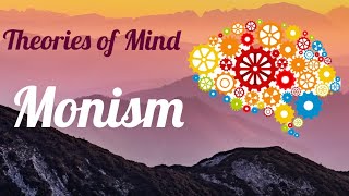 Theories of Mind  Monism  Hindi  Part 2 [upl. by Leidag448]