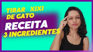 Receita de como tirar cheiro de xixi de gato do sofá Aprovado 😕 [upl. by Enyak686]