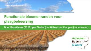 Functionele bloemenranden voor plaagbeheersing [upl. by Vigor217]