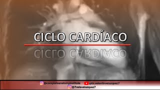 FISIOLOGÍA  CICLO CARDÍACO [upl. by Ramgad]