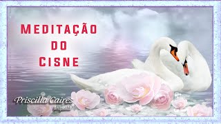 Meditação do Cisne [upl. by Ihsakat]