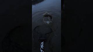 Absolutely EPIC Net Cam NetCam OG TheOriginal River SmallmouthBass Kayak Susquehanna [upl. by Alesram]