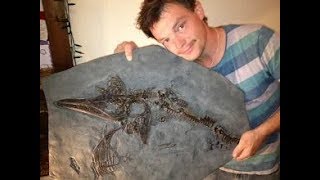 Lyme Regis Ichthyosaur from the Jurassic Coast [upl. by Ludmilla598]