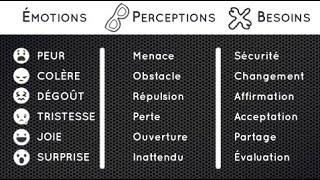 Ce que disent nos 6 émotions de base  sur nos perceptions et nos besoins [upl. by Eelrac]