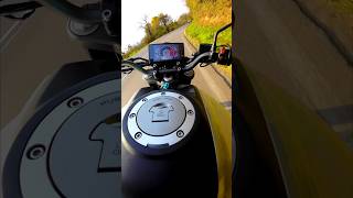 AUTUMN MOTORCYCLE RIDING  CFMOTO NK 300  GUSTAVO SANTAOLLA  BABEL riding autumn motorcycle [upl. by Maurilla47]