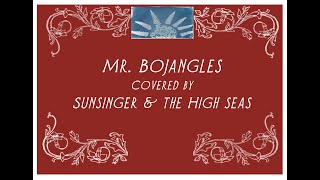 Sunsinger amp the High Seas Mr Bojangles live cover [upl. by Artenahs]