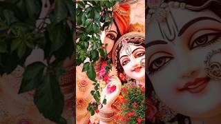 Radhy Radhy ।। Vrandavan dham ।। radheshyam radhakrishna radheradhe shorts ytshortsindia [upl. by Jojo]