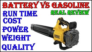 Dewalt Cordless Leaf Blower  Real Results  Real Review [upl. by Sackman]