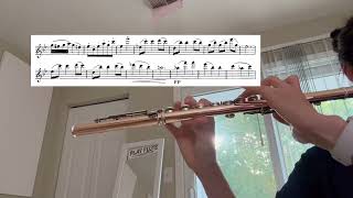 93024 practice log Demersseman 50 Etudes Melodiques no 3 [upl. by Imorej22]