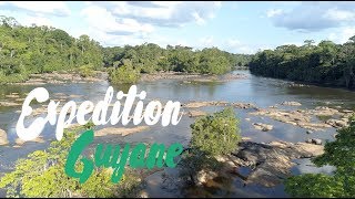 13 jours sur le fleuve Oyapock  Expédition scientifique Guyane [upl. by Joyann443]