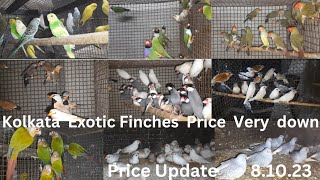 Kolkata birds price is very down Finches price in kolkata Gouldian finch Cocktail  javas [upl. by Leryt]