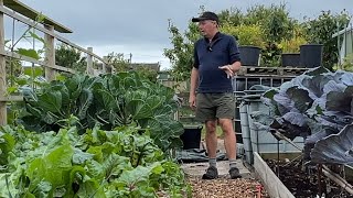 The very good bad and very bad  allotment tour in July [upl. by Saxen]