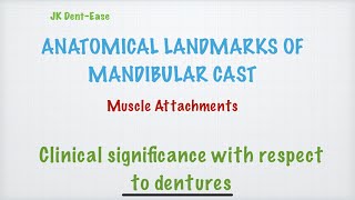 Anatomical Landmarks of Mandibular cast NEET MDS BDS [upl. by Ellehsim]