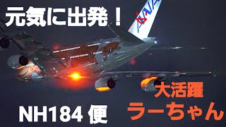 ✈✈RJAA成田空港 NightView NH184便ラニ君ハワイの空へ 元気に出発ホヌ全日空 All Nippon AirwaysAirbus A380JA383A NaritaRWY34L [upl. by Arocat522]