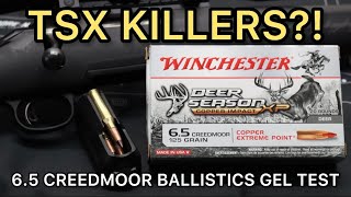 BARNES TSX KILLERS 65 Creedmoor Winchester Copper Impact 125gr Ammo Test [upl. by Yelruc]