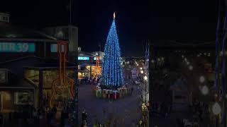 PIER 39 Christmas Tree 20231223 San Francisco CA 4K HDR [upl. by Ecnedac154]