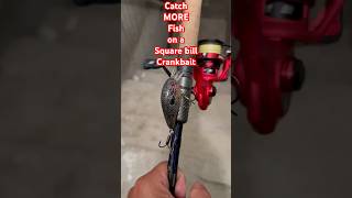 Crankbaits The Secret Weapon for Catching More Fish [upl. by Hendry]