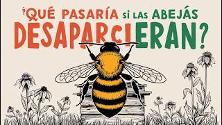 ¿Qué Pasaría si Desaparecen las Abejas [upl. by Aroled952]