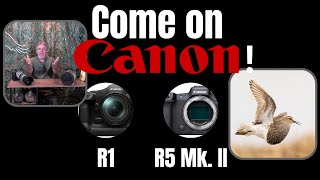 The Canon R5 Mk II and R1  Come on Canon [upl. by End]