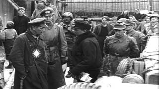 Generals discuss during 11th German Panzer Division surrender to Allied Forces inHD Stock Footage [upl. by Layne653]