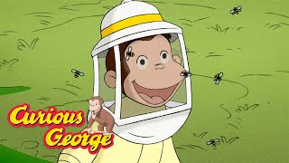 George the Beekeeper 🐵 Curious George 🐵 Kids Cartoon 🐵 Kids Movies [upl. by Reeve]