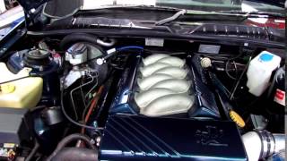 Vortech supercharged VS Maloo [upl. by Wernda]