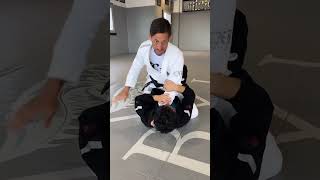 DONT Do This When In Mount Position jiujitsu grappling combatsport jiujitsutechnique [upl. by Sonahpets]