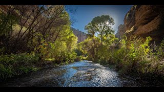 Out There In It  Aravaipa Canyon Wilderness Arizona USA [upl. by Kolk]