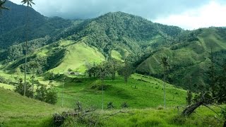 10 Best Places to Visit in Colombia  Video Travel Guide [upl. by Holmen9]