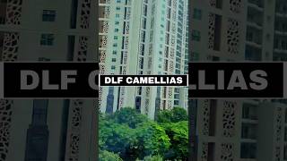 DLF Camellias Flats Sold Out 110 Crore  Camellias Was Not One Time Wonder [upl. by Patti246]