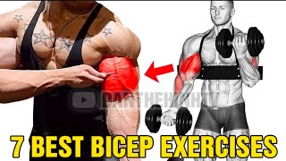 5 Best Effective Exercise for Biceps ll Long Head  Short Head gym workout video [upl. by Novyat288]