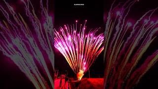 156 Shots Purple Peacock fireworkscake merrytimefireworks 美太156发紫孔雀 [upl. by Asennav]