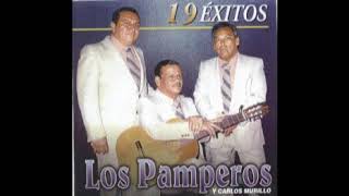 Los Pamperos Exitos Vol 1 [upl. by Hirst407]