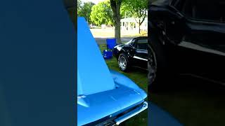 Michiana Corvette Club Car Show corvette carshow corvetteshow michiana vette carshowvideo [upl. by Evilc]