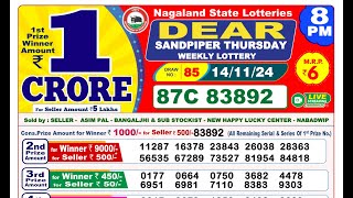 Lottery Result Today 8pm 14112024  Official  Nagaland Lottery [upl. by Sears626]