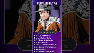 Cornelio Reyna MIX Grandes Exitos shorts  1960s Music  Top Latin Conjunto Mexican Tradition [upl. by Neevan]